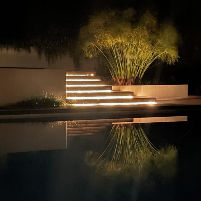 Neon Strip Lighting