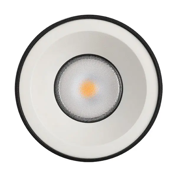 SLSM101F <br /> Prismatic <br /> 40º 55º - Image 3