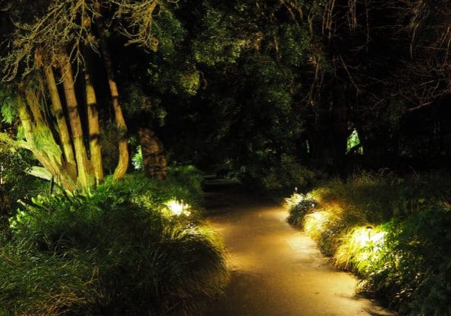 Switch Lighting's Garden Range creates enchanting outdoor spaces Hero